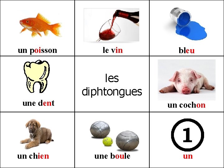 un poisson le vin bleu les diphtongues une dent un chien un cochon une