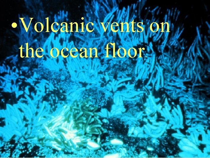  • Volcanic vents on the ocean floor. 