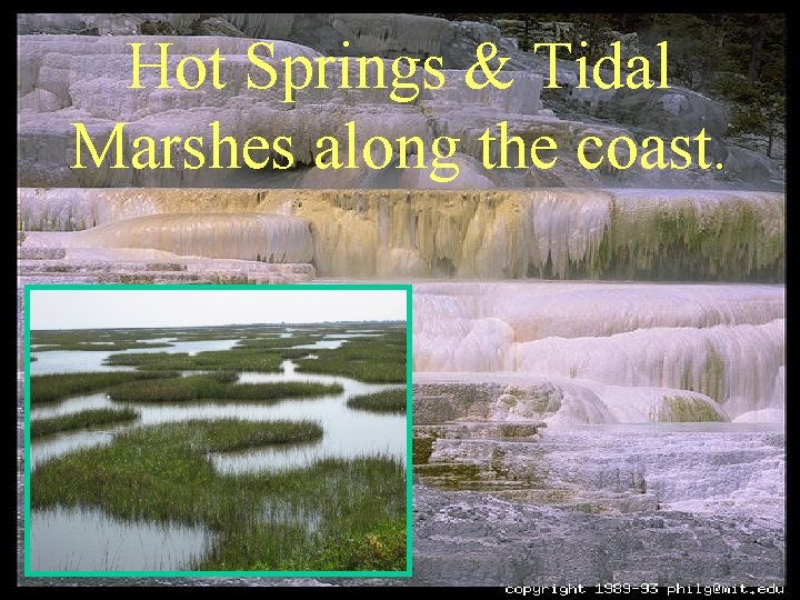 Hot Springs & Tidal Marshes along the coast. 