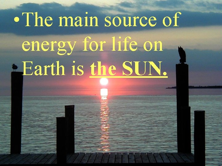  • The main source of energy for life on Earth is the SUN.