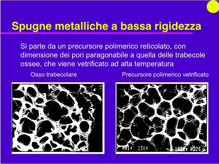 Organi Artificiali e Protesi Prof. O. Sbaizero 