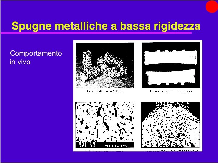 Organi Artificiali e Protesi Prof. O. Sbaizero 