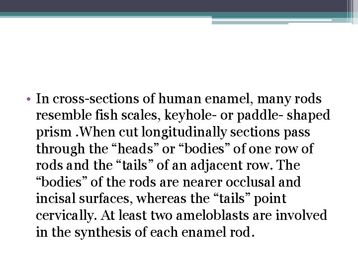  • In cross-sections of human enamel, many rods resemble fish scales, keyhole- or