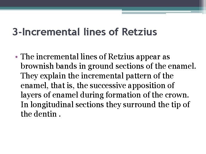 3 -Incremental lines of Retzius • The incremental lines of Retzius appear as brownish