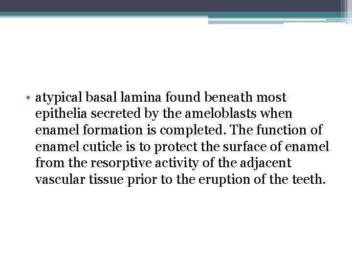  • atypical basal lamina found beneath most epithelia secreted by the ameloblasts when