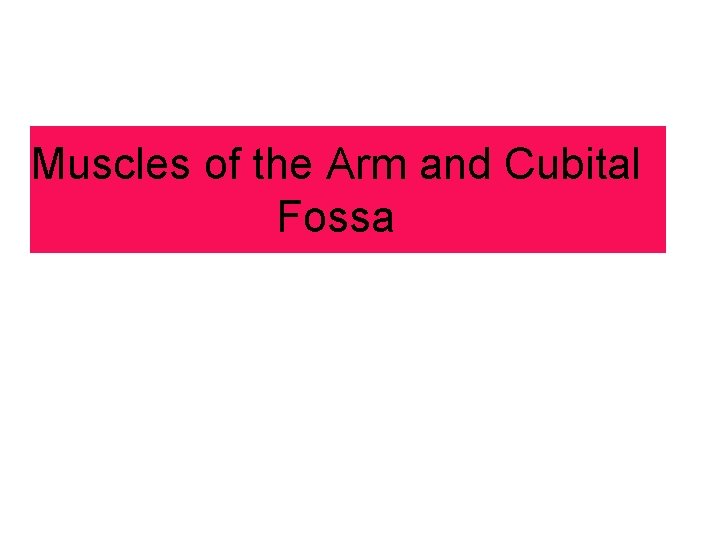 Muscles of the Arm and Cubital Fossa 