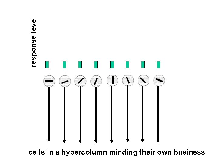 response level cells in a hypercolumn minding their own business 