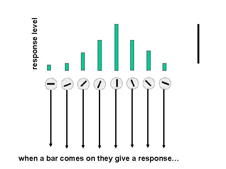response level when a bar comes on they give a response… 