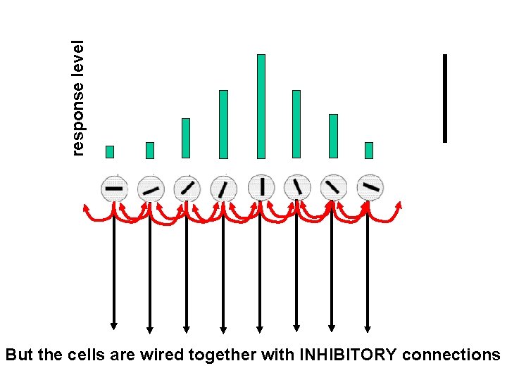 response level But the cells are wired together with INHIBITORY connections 