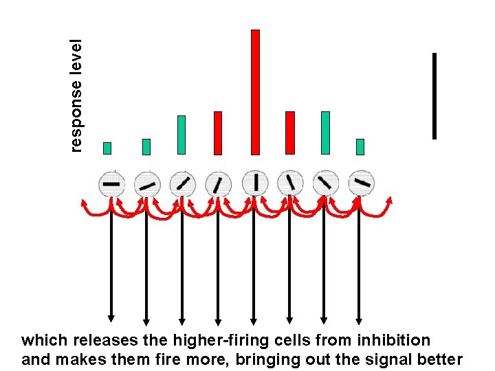 response level which releases the higher-firing cells from inhibition and makes them fire more,