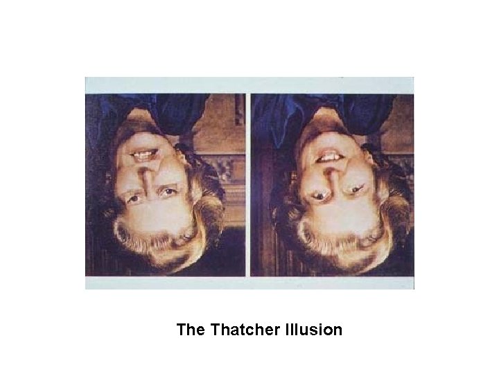 The Thatcher Illusion 