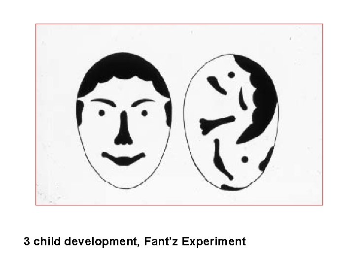 3 child development, Fant’z Experiment 