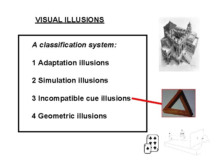 VISUAL ILLUSIONS A classification system: 1 Adaptation illusions 2 Simulation illusions 3 Incompatible cue