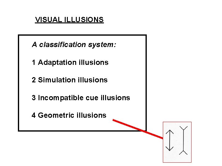 VISUAL ILLUSIONS A classification system: 1 Adaptation illusions 2 Simulation illusions 3 Incompatible cue