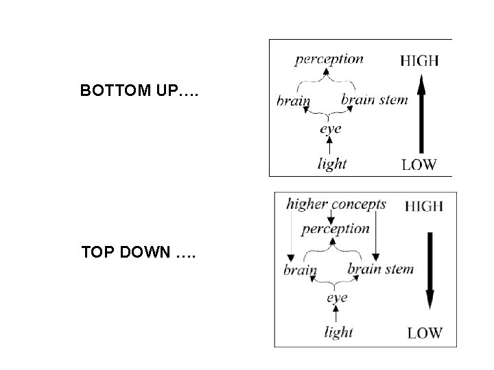 BOTTOM UP…. TOP DOWN …. 