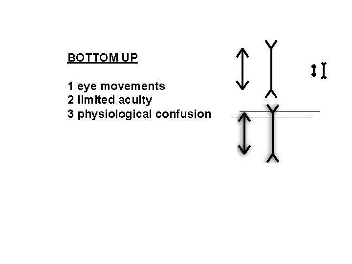 BOTTOM UP 1 eye movements 2 limited acuity 3 physiological confusion 