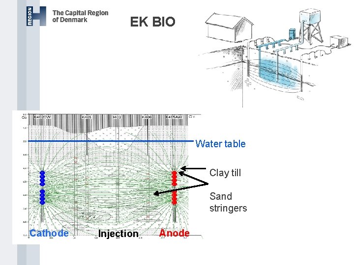 EK BIO Water table Clay till Sand stringers Cathode Injection Anode 