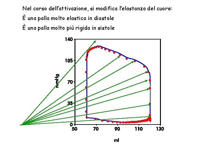 Nel corso dell’attivazione, si modifica l’elastanza del cuore: È una palla molto elastica in