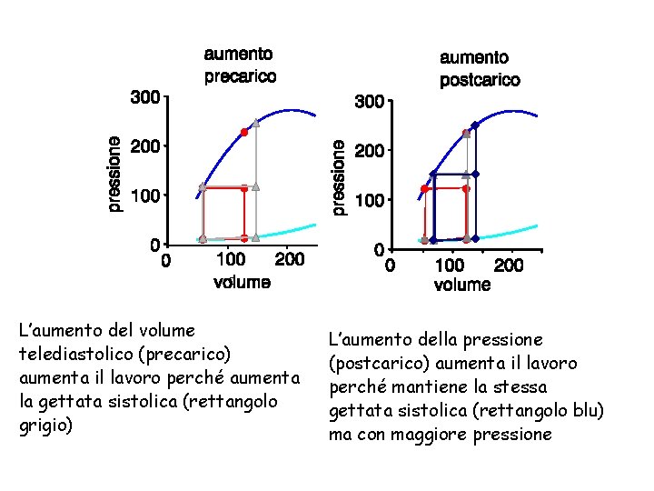 L’aumento del volume telediastolico (precarico) aumenta il lavoro perché aumenta la gettata sistolica (rettangolo