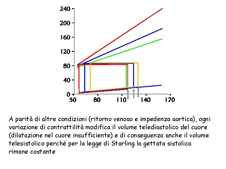 A parità di altre condizioni (ritorno venoso e impedenza aortica), ogni variazione di contrattilità