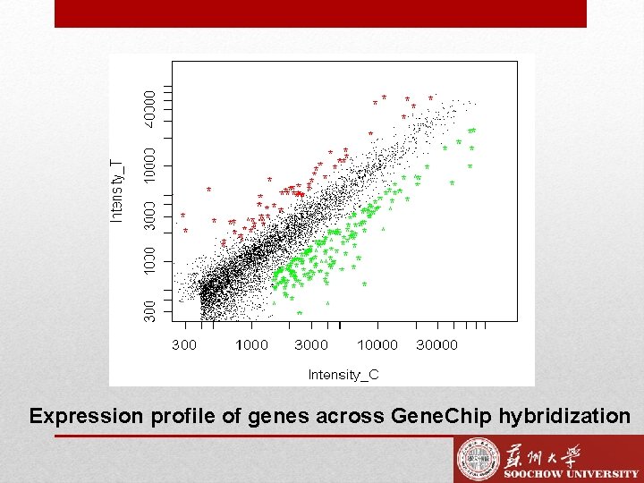 Expression profile of genes across Gene. Chip hybridization 