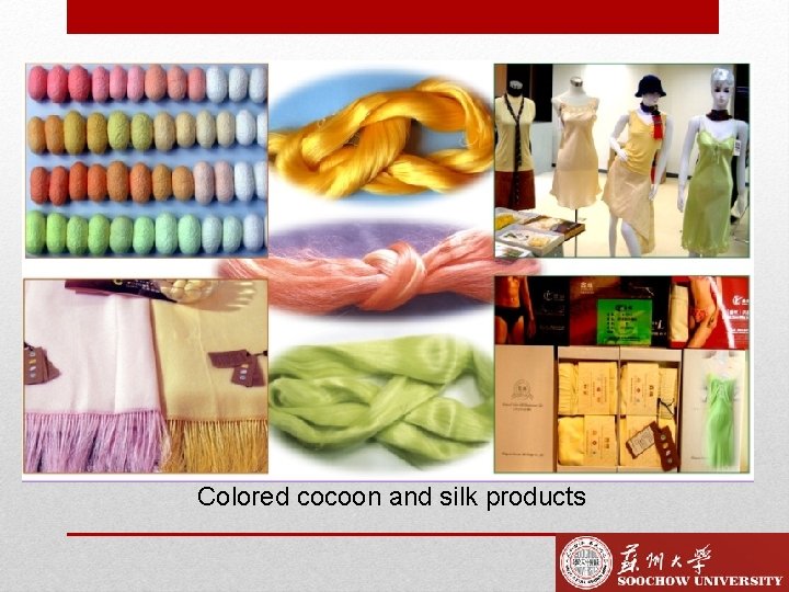 Colored cocoon and silk products 