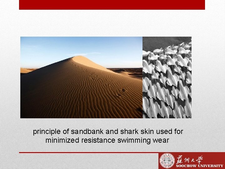 principle of sandbank and shark skin used for minimized resistance swimming wear 