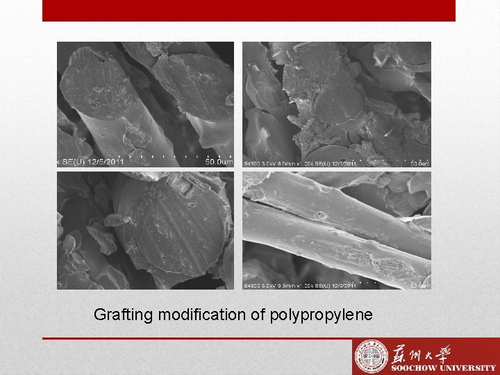 Grafting modification of polypropylene 