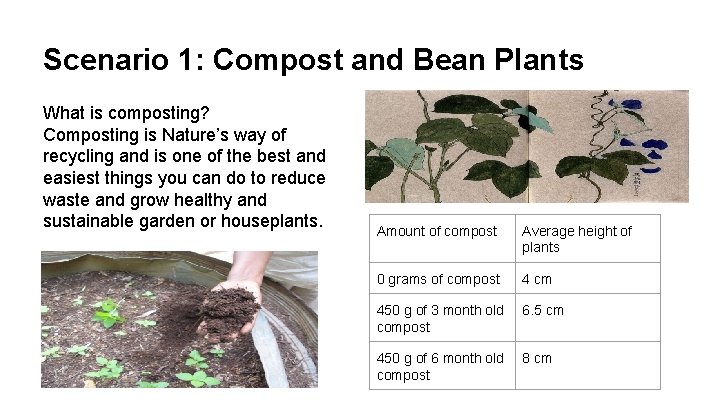 Scenario 1: Compost and Bean Plants What is composting? Composting is Nature’s way of