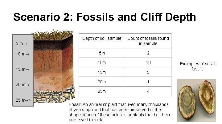 Scenario 2: Fossils and Cliff Depth of soil sample Count of fossils found in