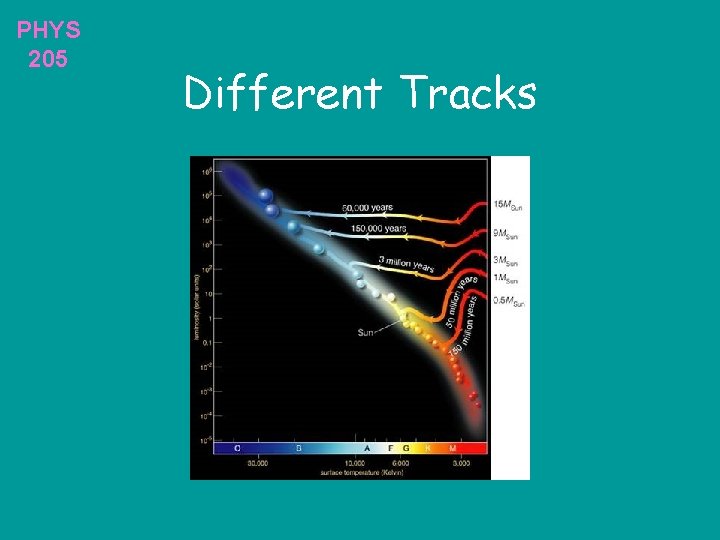 PHYS 205 Different Tracks 