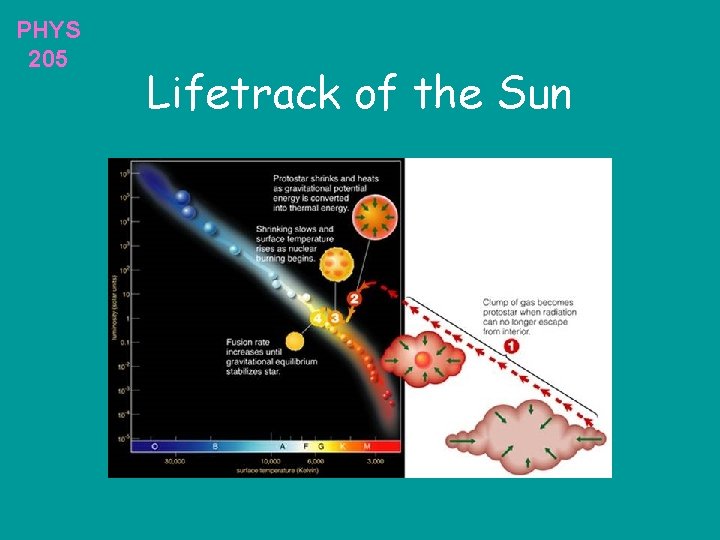 PHYS 205 Lifetrack of the Sun 