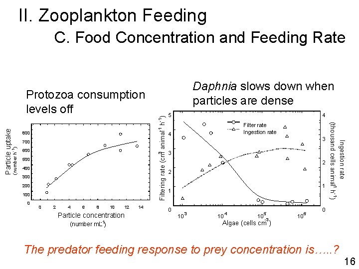 II. Zooplankton Feeding C. Food Concentration and Feeding Rate Daphnia slows down when particles