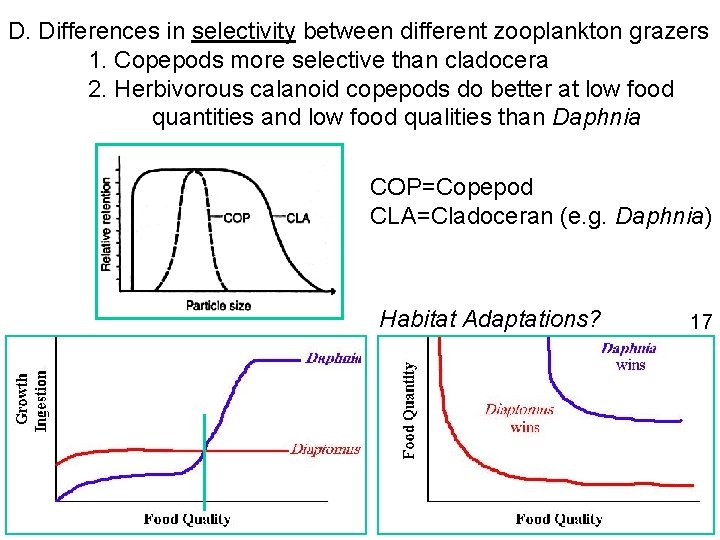 D. Differences in selectivity between different zooplankton grazers 1. Copepods more selective than cladocera
