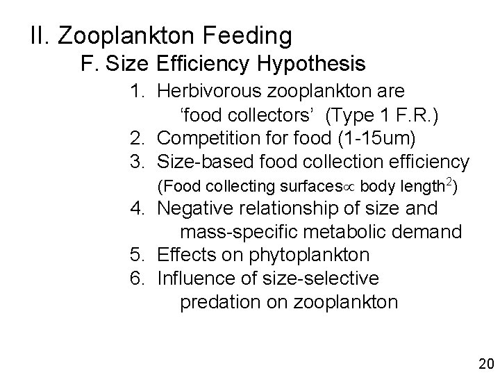 II. Zooplankton Feeding F. Size Efficiency Hypothesis 1. Herbivorous zooplankton are ‘food collectors’ (Type