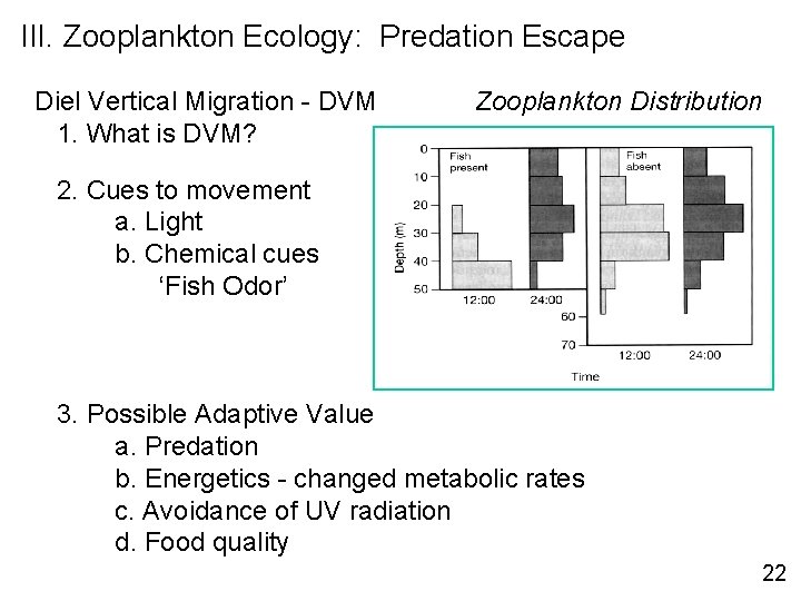 III. Zooplankton Ecology: Predation Escape Diel Vertical Migration - DVM 1. What is DVM?