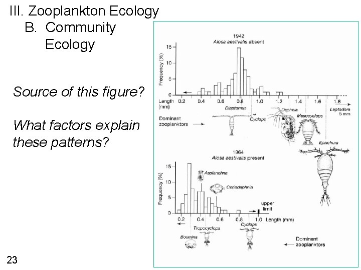 III. Zooplankton Ecology B. Community Ecology Source of this figure? What factors explain these