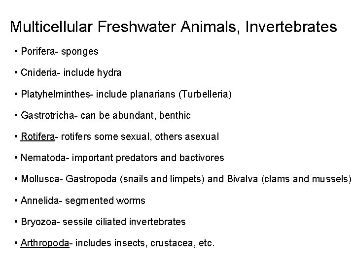 Multicellular Freshwater Animals, Invertebrates • Porifera- sponges • Cnideria- include hydra • Platyhelminthes- include