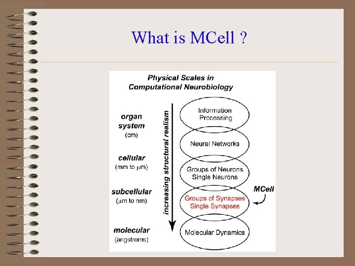 What is MCell ? 