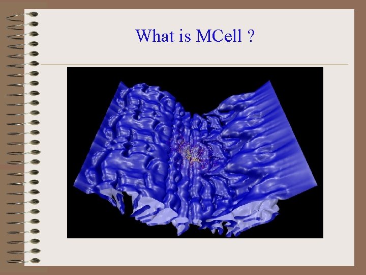 What is MCell ? 