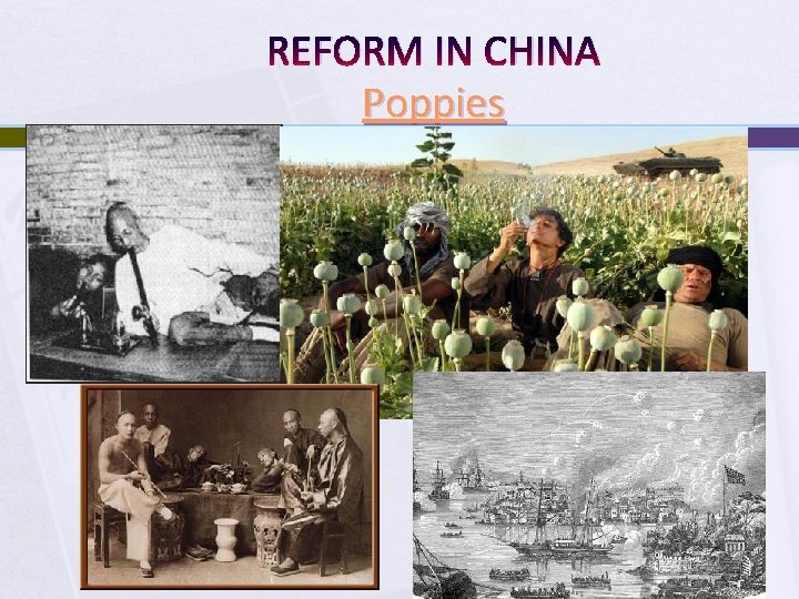 REFORM IN CHINA Poppies 