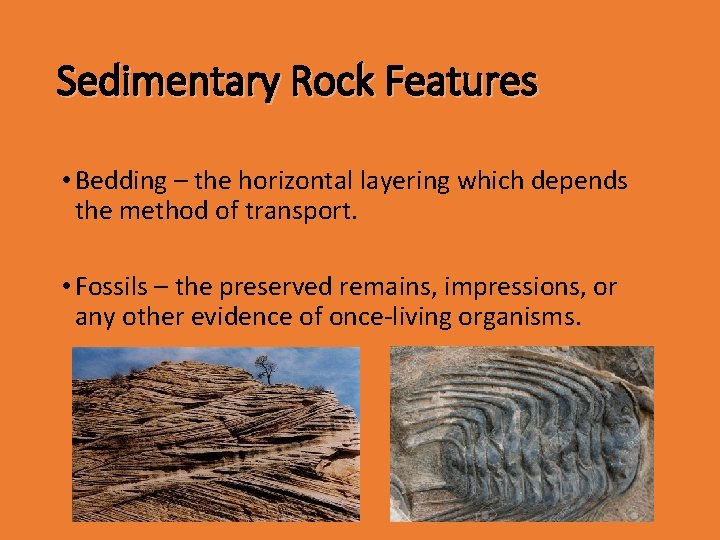 Sedimentary Rock Features • Bedding – the horizontal layering which depends the method of