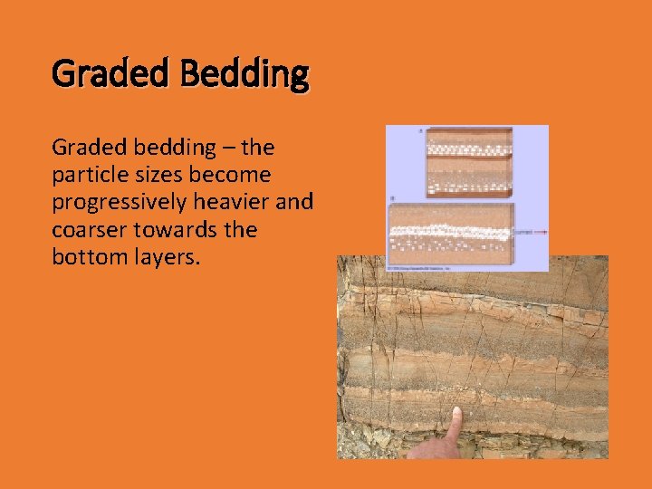 Graded Bedding Graded bedding – the particle sizes become progressively heavier and coarser towards