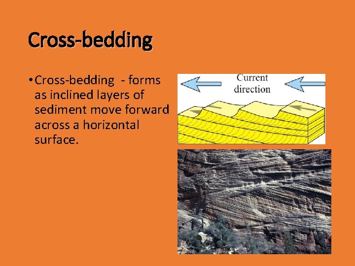 Cross-bedding • Cross-bedding - forms as inclined layers of sediment move forward across a