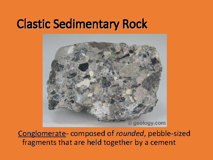 Clastic Sedimentary Rock Conglomerate- composed of rounded, pebble-sized fragments that are held together by