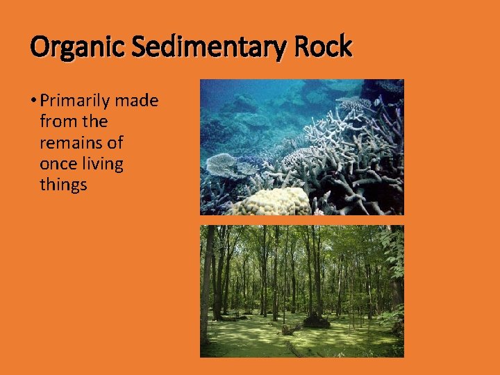 Organic Sedimentary Rock • Primarily made from the remains of once living things 