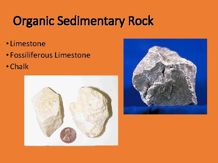 Organic Sedimentary Rock • Limestone • Fossiliferous Limestone • Chalk 