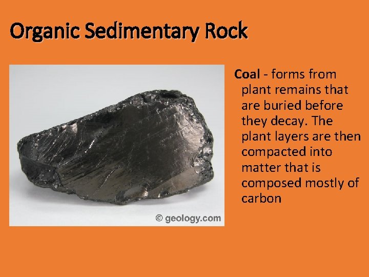 Organic Sedimentary Rock Coal - forms from plant remains that are buried before they