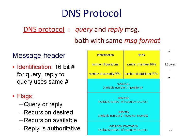 DNS Protocol DNS protocol : query and reply msg, both with same msg format
