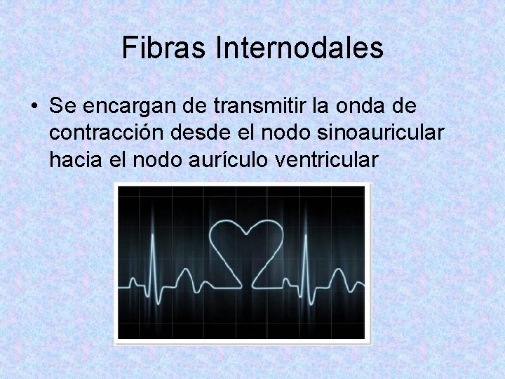 Fibras Internodales • Se encargan de transmitir la onda de contracción desde el nodo